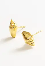 Ink + Alloy Alice Spiral Shell Post Earrings Brass