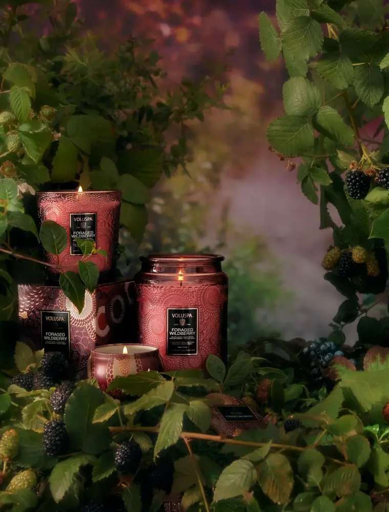Voluspa Foraged Wildberry 18oz. Large Jar