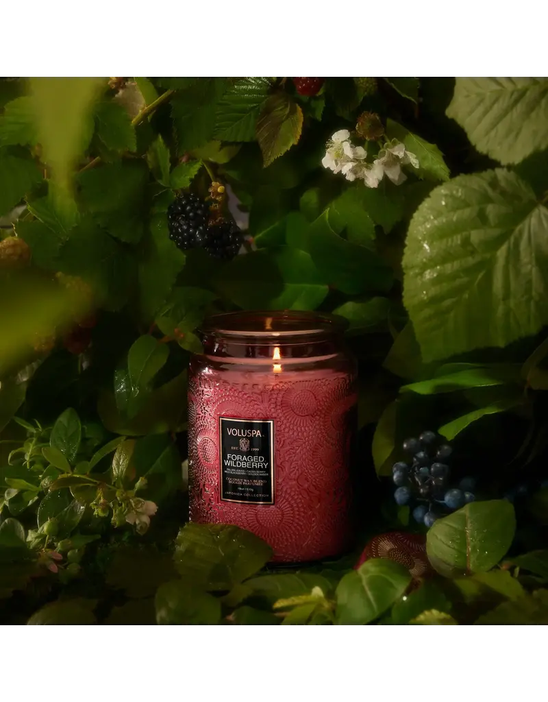 Voluspa Foraged Wildberry 18oz. Large Jar