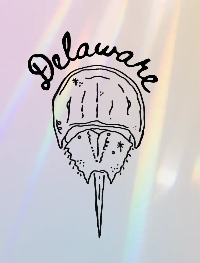 Kash Collections Delaware Suncatcher