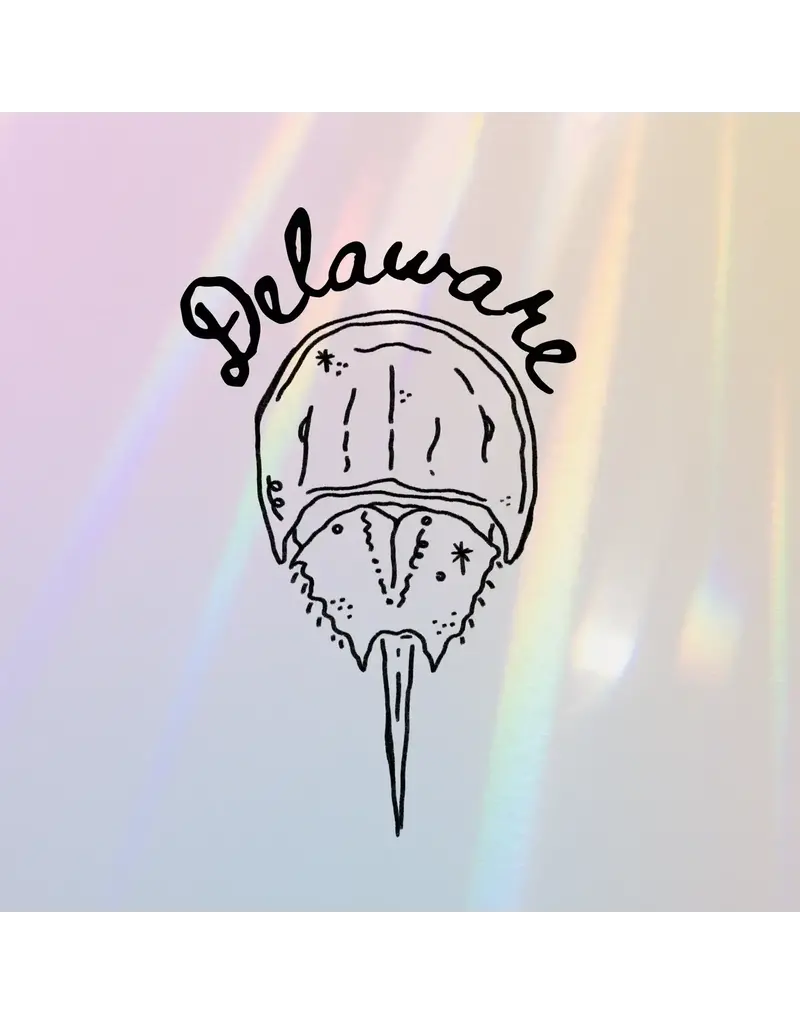 Kash Collections Delaware Suncatcher