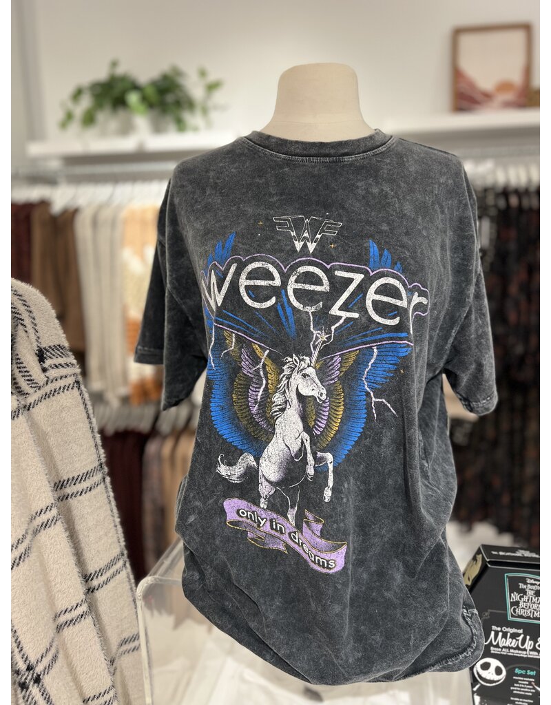 Prince Peter Weezer Unicorn Oversized Tee