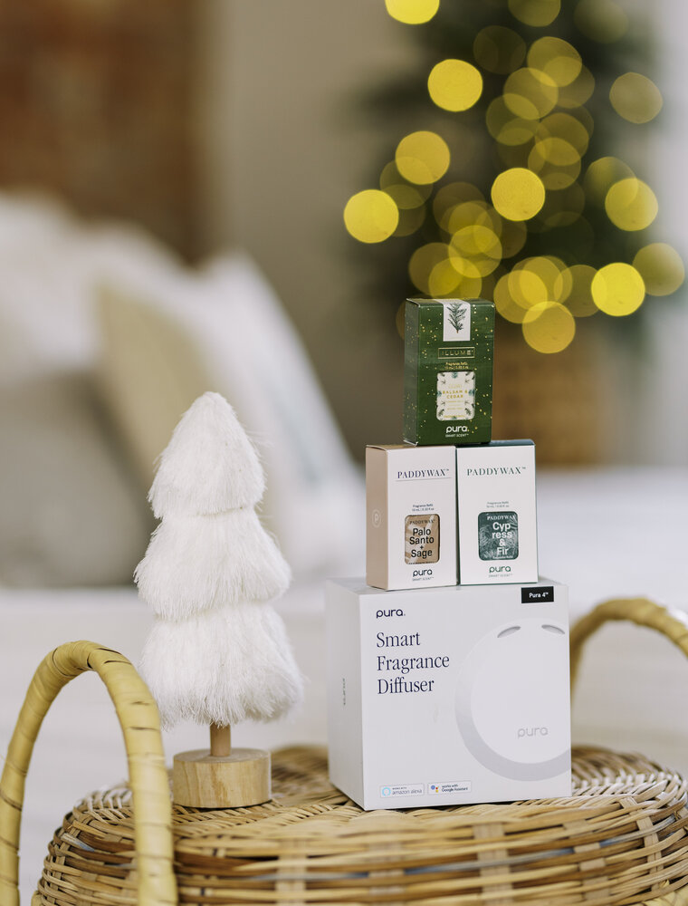 Pura Paddywax Cypress & Fir Smart Vial