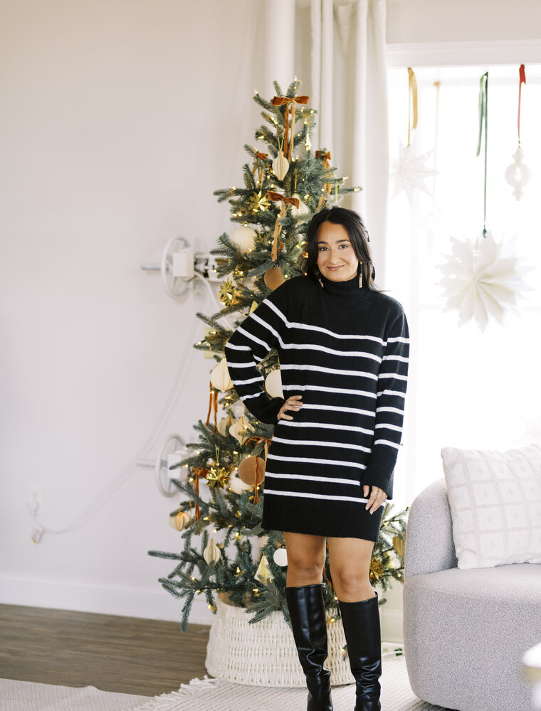 Z Supply Fin Stripe Sweater Dress