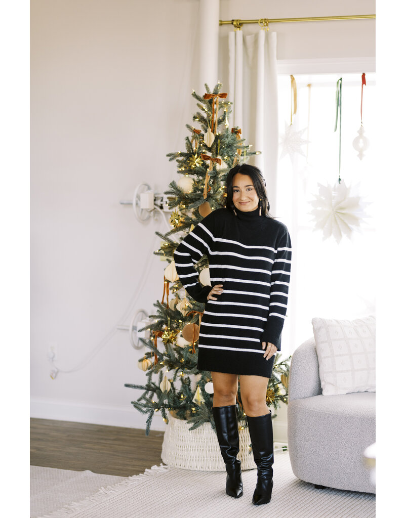 Z Supply Fin Stripe Sweater Dress