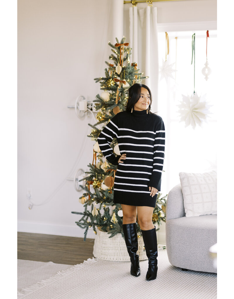 Z Supply Fin Stripe Sweater Dress