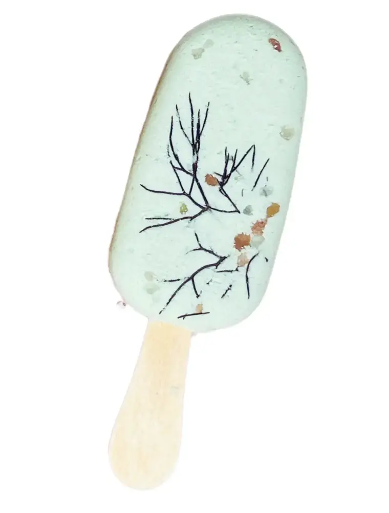 Sow the Magic Botanical Bath Clay Pops-Dried Fruit & Epsom Salt Peppermint + Fennel