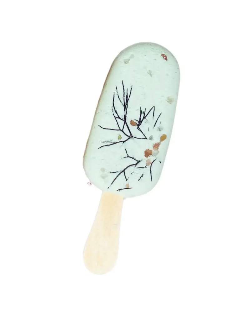 Sow the Magic Botanical Bath Clay Pops-Dried Fruit & Epsom Salt Peppermint + Fennel