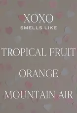 Sweet Water Decor XOXO 15 oz. Valentine's Day Candle