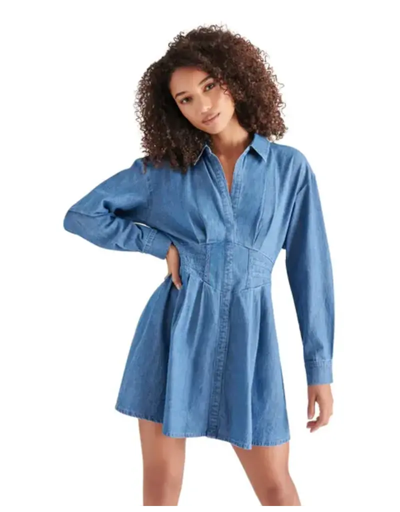 BB Dakota Aria Dress