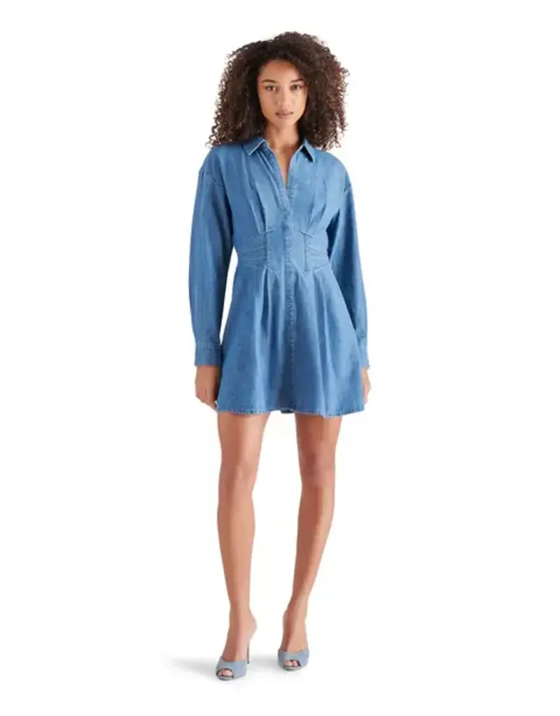 BB Dakota Aria Dress