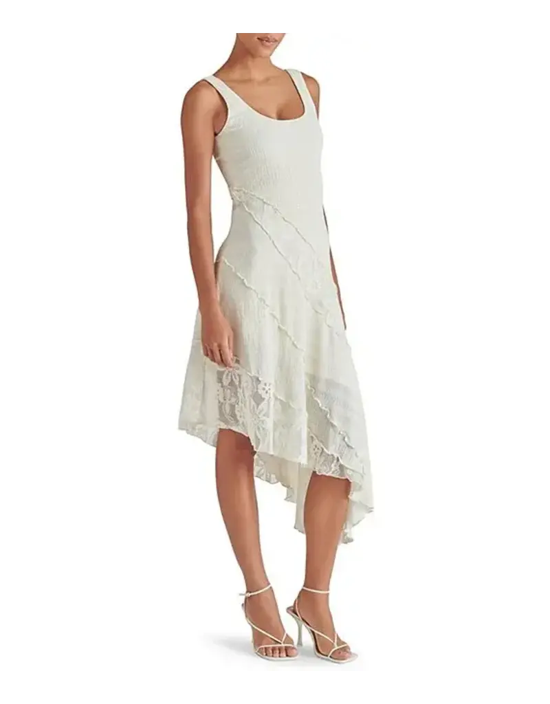 BB Dakota Vance Dress