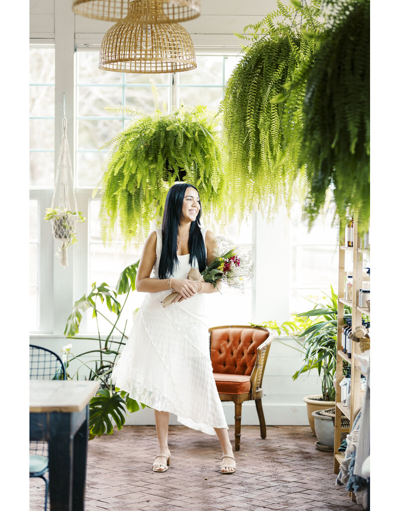 BB Dakota Vance Dress