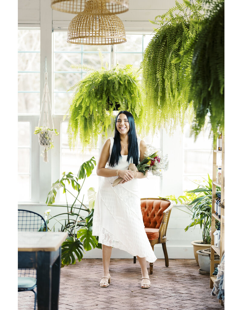BB Dakota Vance Dress