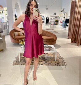 BB Dakota Larissa Dress