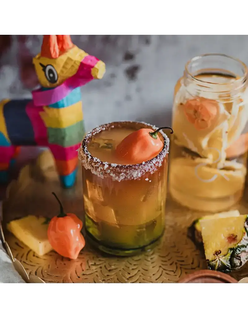 Infuse & Booze Spicy Rita