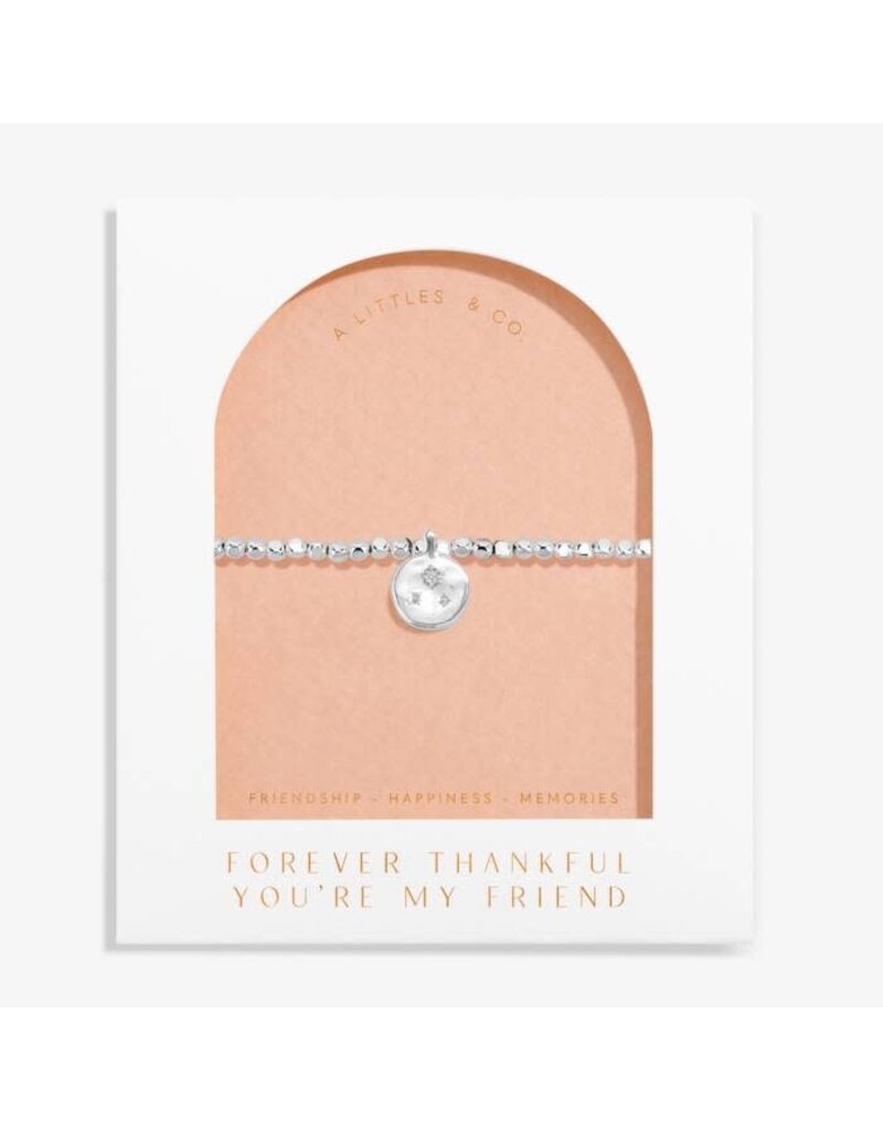 A Littles & Co. DOLCE VITA Forever Thankful You're my Friend Bracelet