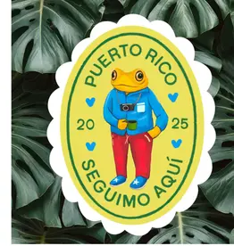 Cocollama Design Concho the frog sticker