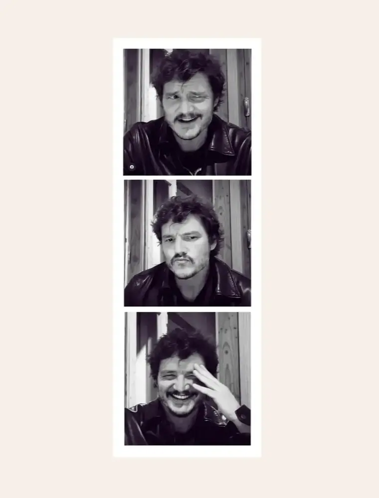 Cocollama Design Pedro Pascal Cute Sticker