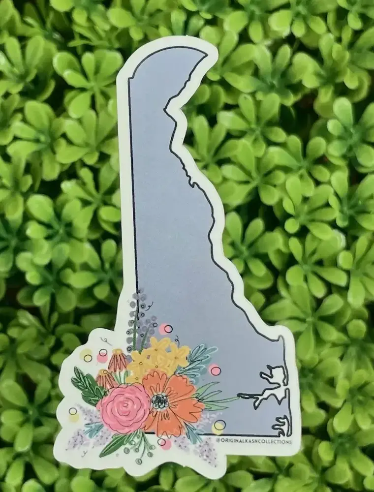 Kash Collections Delaware Sticker