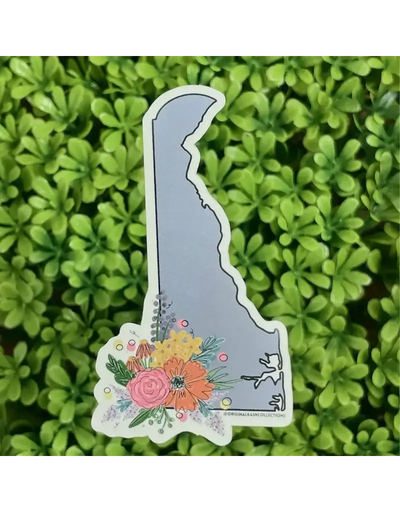 Kash Collections Delaware Sticker