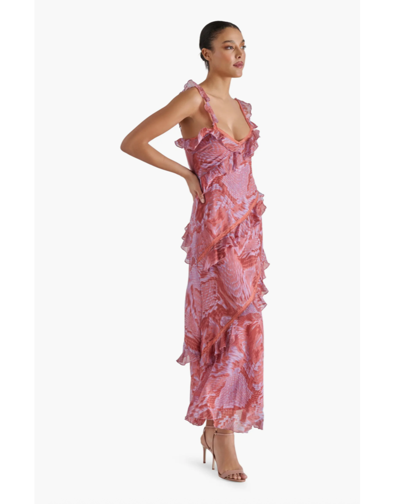 Steve Madden Versailles Dress