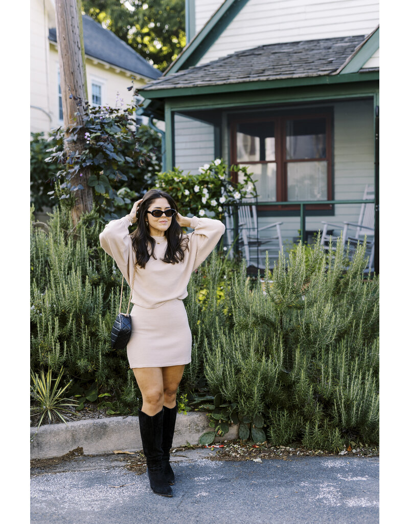 Sadie & Sage On a Stroll Mini Skirt