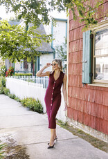 Skies are Blue Button Down Midi Dress