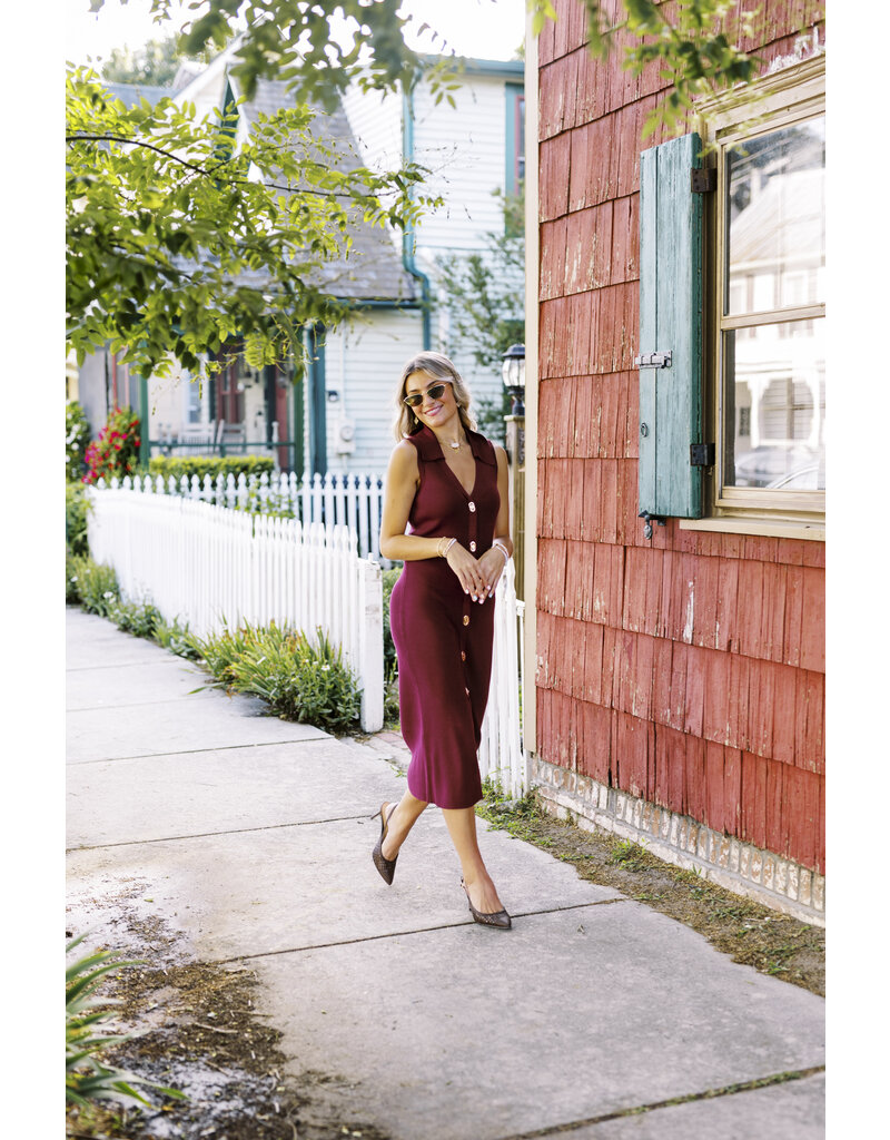 Skies are Blue Button Down Midi Dress