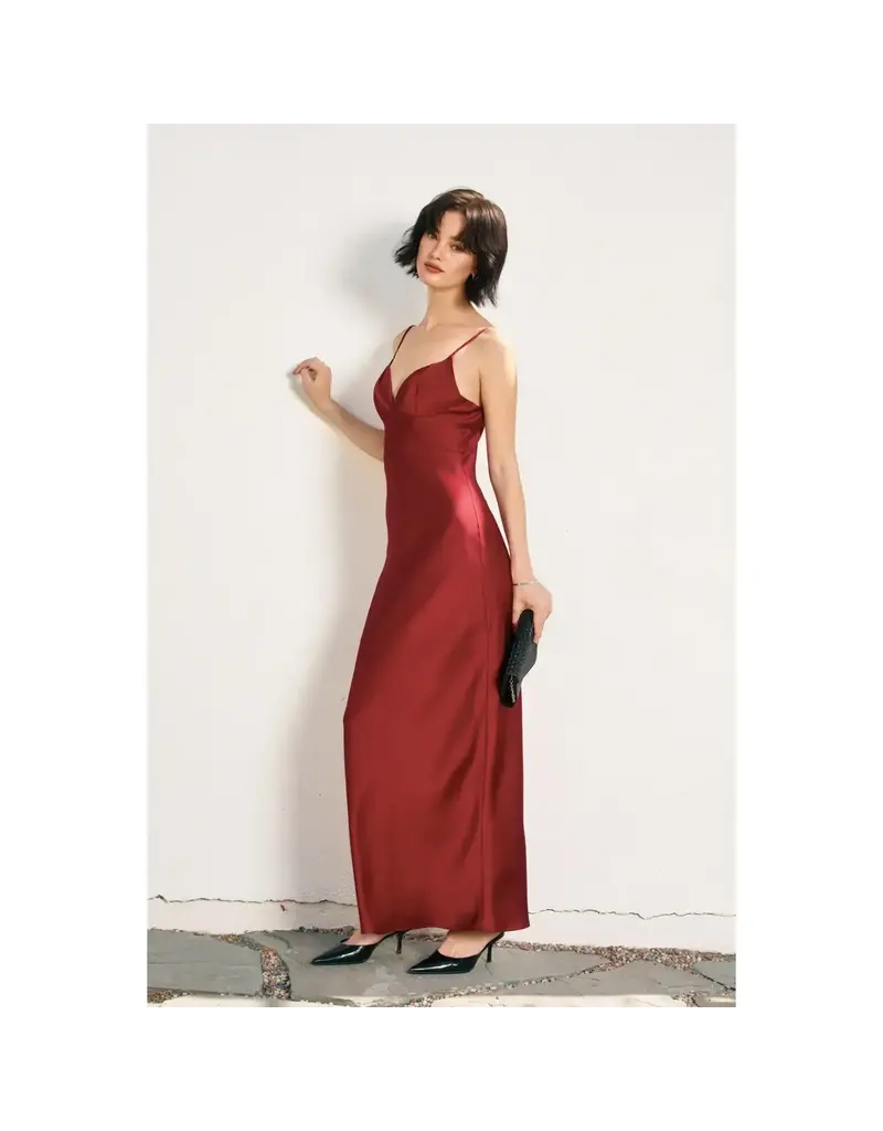 Dress Forum Going Out Maxi Dress