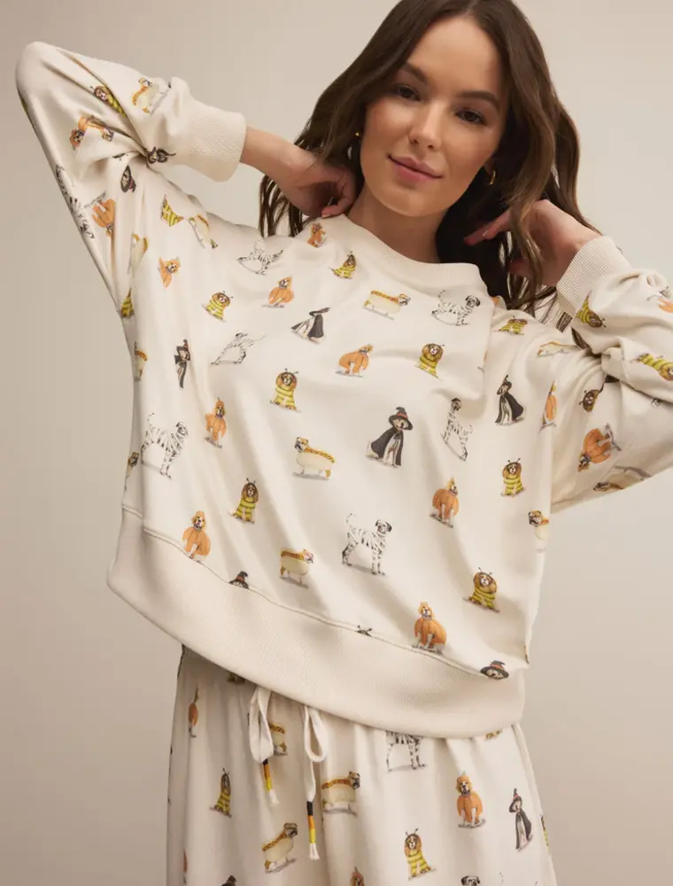 Z Supply Elle Pup Longsleeve Top