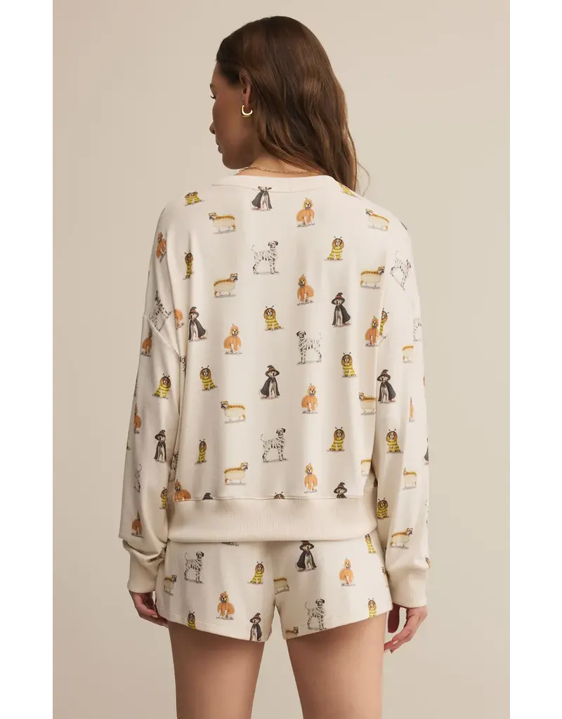 Z Supply Elle Pup Longsleeve Top