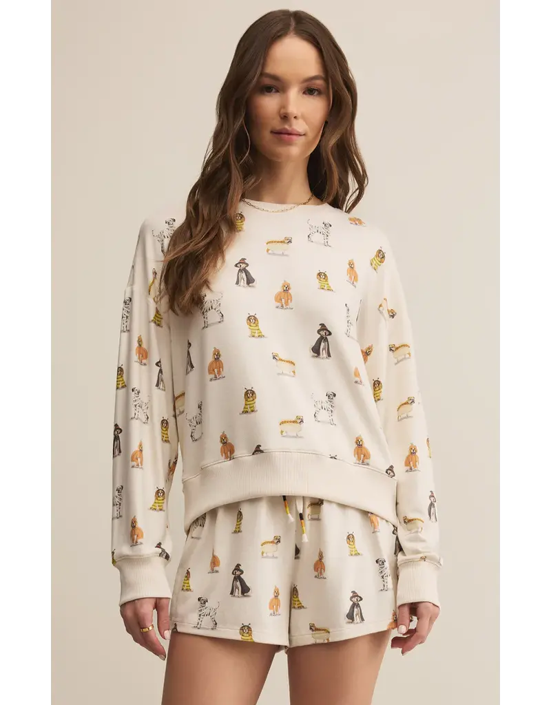 Z Supply Elle Pup Longsleeve Top