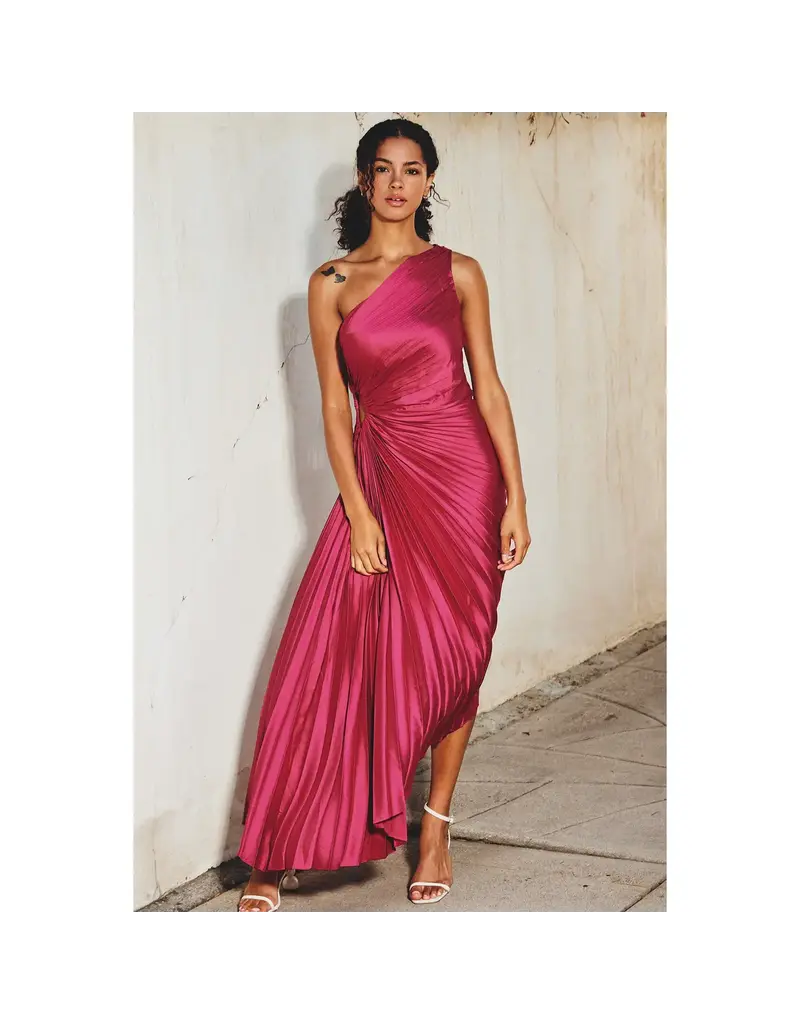 Dress Forum First Class Pleated Dress