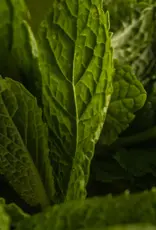 Pura Pura Smart Vial Chamomile Mint Pura Pura Smart Vial Chamomile Mint