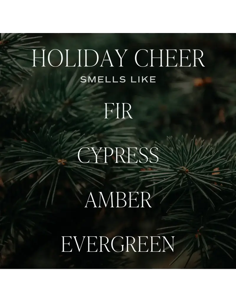 Sweet Water Decor Holiday Cheer 9oz.  Soy Candle