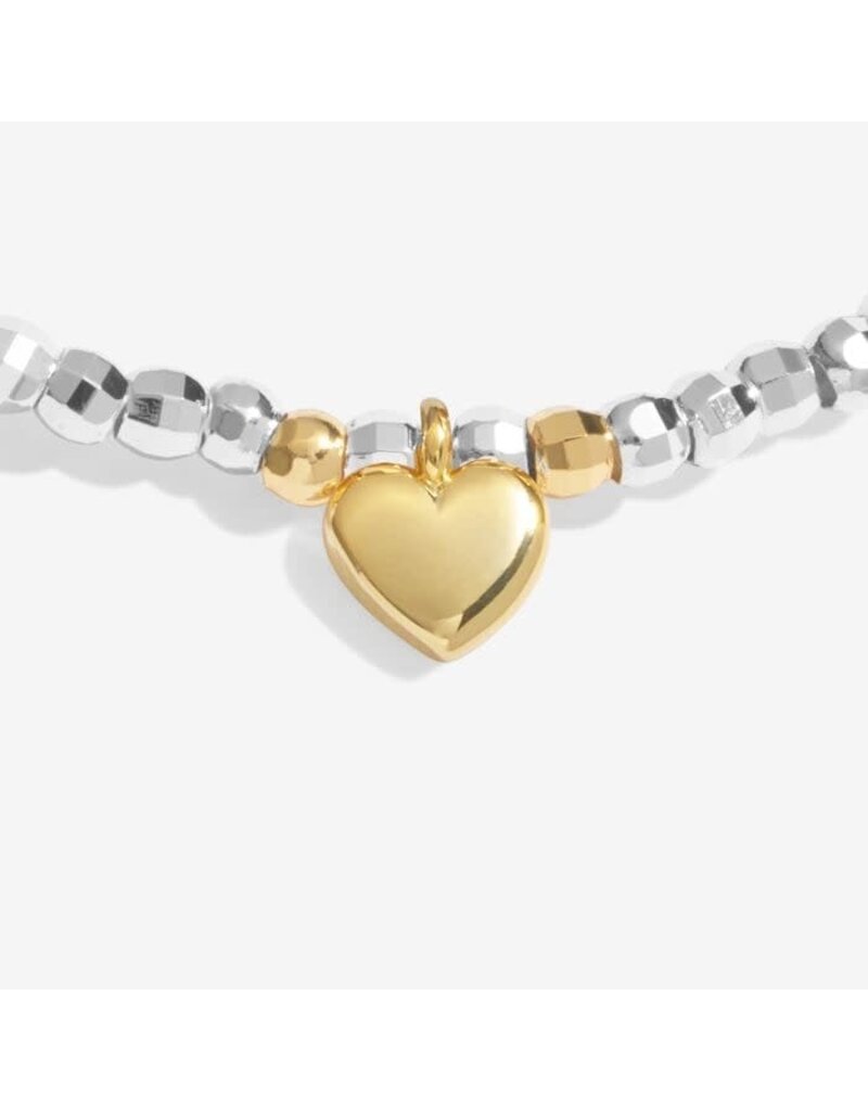 A Littles & Co. Sparkle Confetti A Little Fabulous Friend Silver & Gold