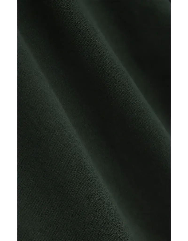 Z Supply Boyfriend Sweatshirt