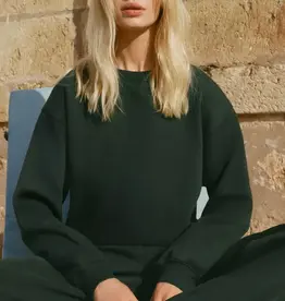 Z Supply Boyfriend Sweatshirt