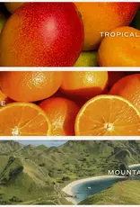 Sweet Water Decor OMG You're engaged Candle 15 oz.