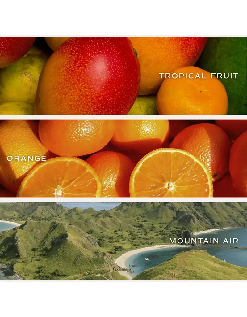 Sweet Water Decor OMG You're engaged Candle 15 oz.