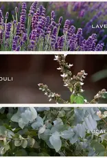 Sweet Water Decor Self Care 9 oz. Soy Candle