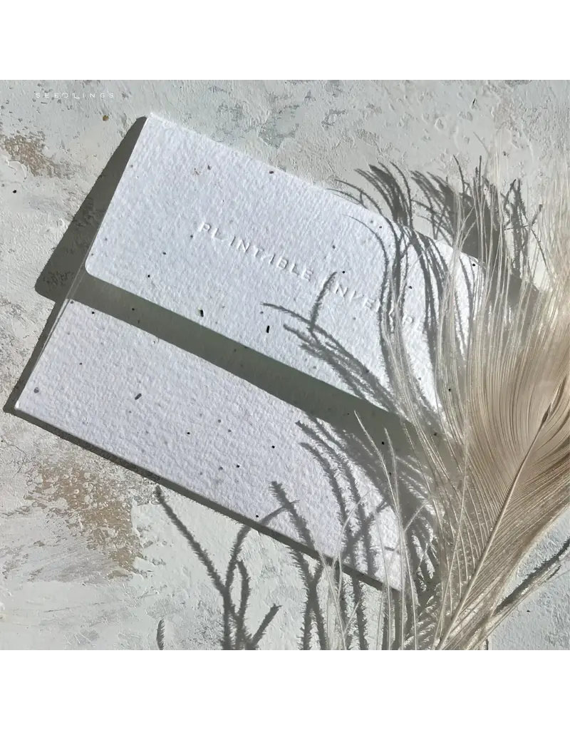 Seedlings There is Beauty up Ahead Encouragement Greeting Card