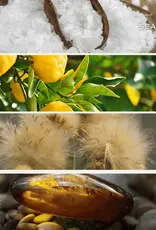 Sweet Water Decor 15 oz. Soy Candle Something Blue