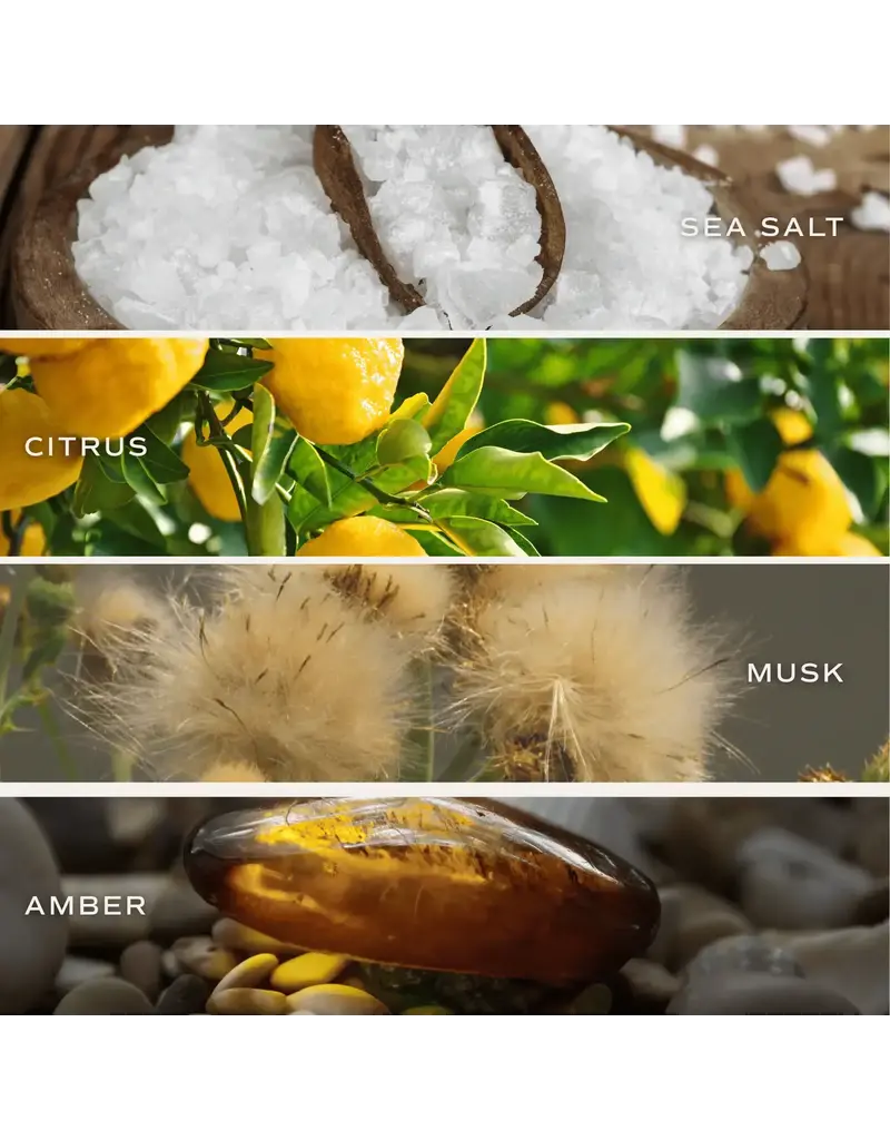 Sweet Water Decor 15 oz. Soy Candle Something Blue