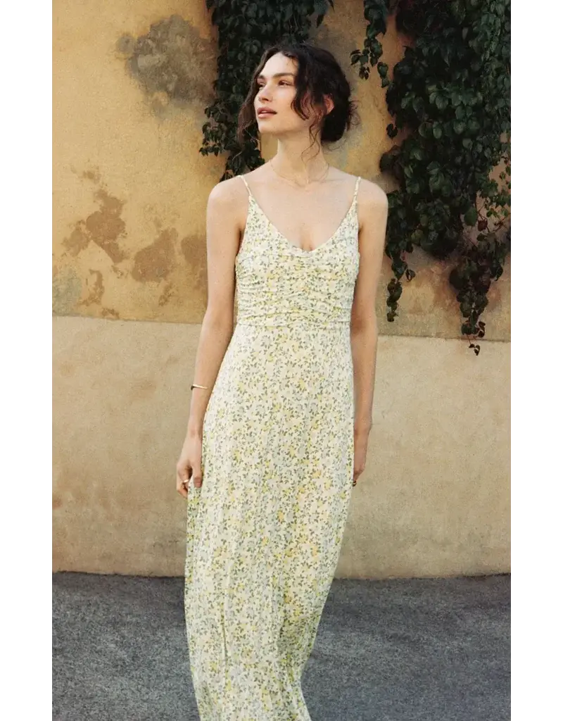 Z Supply Faya Idra Ditsy Maxi Dress