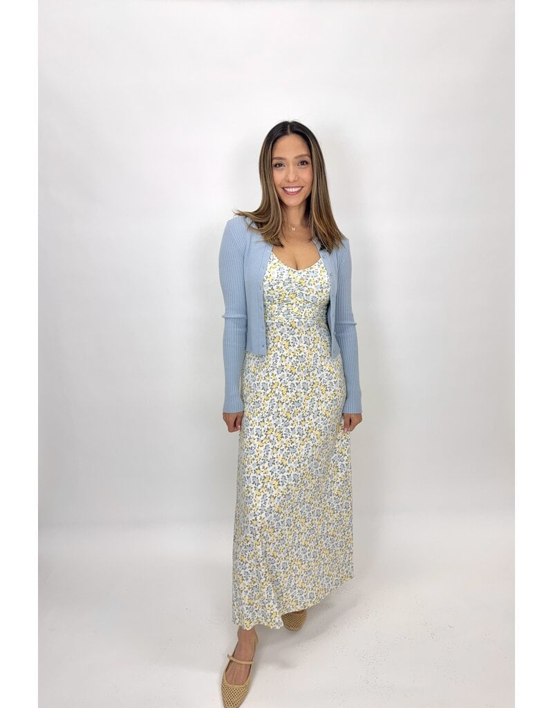 Z Supply Faya Idra Ditsy Maxi Dress