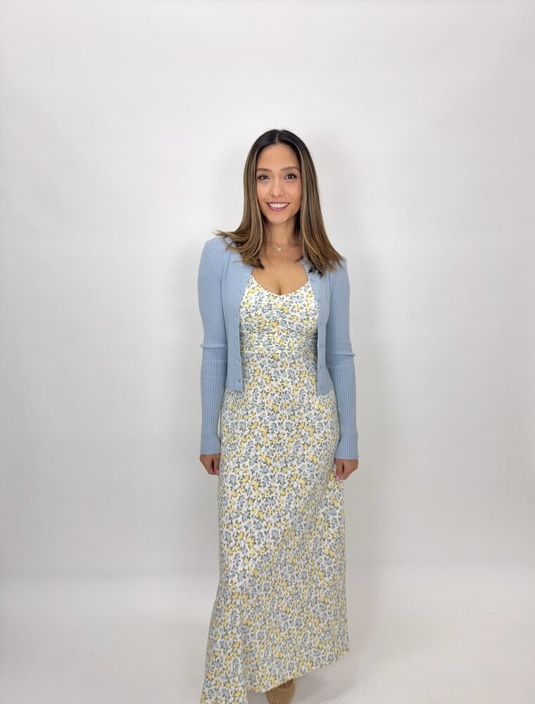 Z Supply Faya Idra Ditsy Maxi Dress