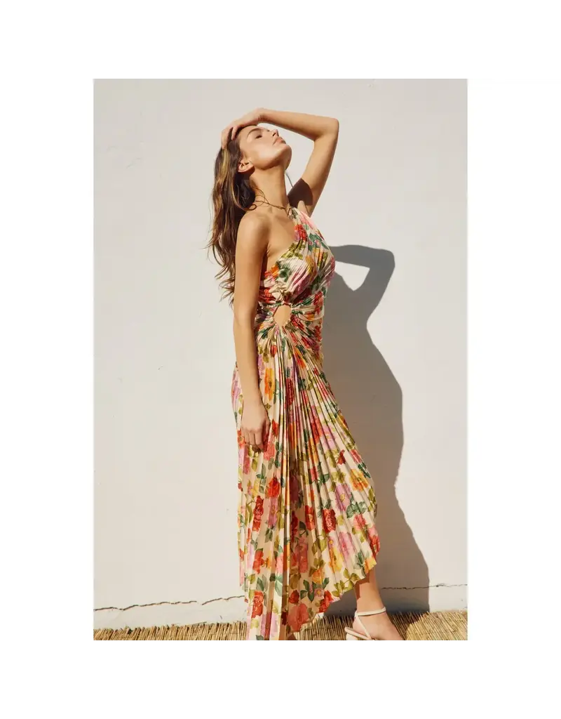 Dress Forum Gift of Love Asymmetrical Pleated Maxi Dress