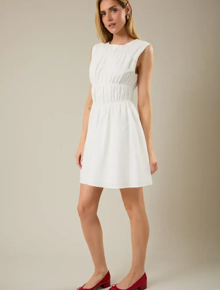 S&E Tessa Fit & Flare Mini Dress